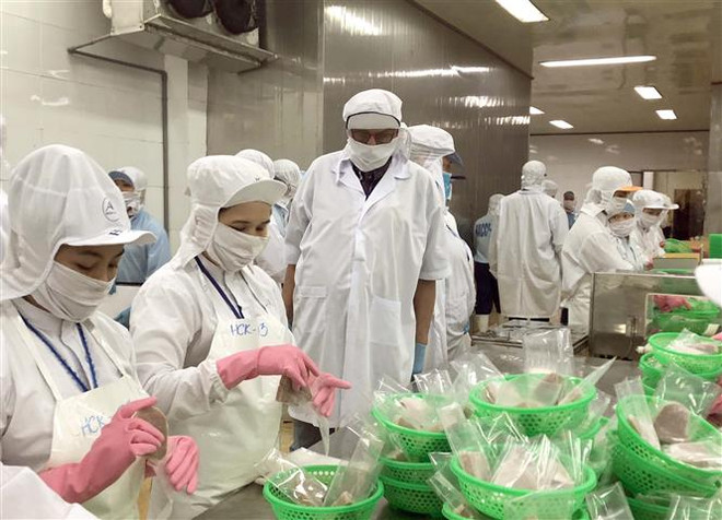 MEPs đánh giá cao những nỗ lực chống khai thác IUU của Việt Nam ảnh 3