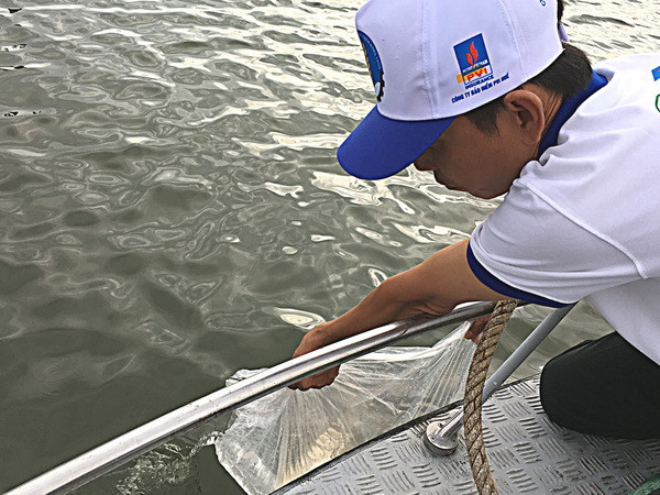 Phục hồi, tái tạo nguồn lợi thủy sản tại 4 tỉnh miền Trung ảnh 2