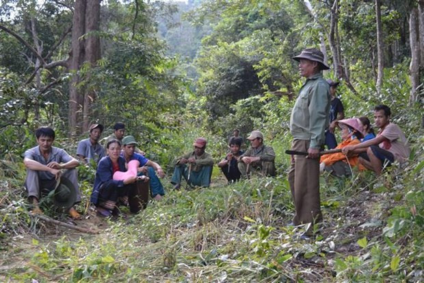 Người dân tham gia công tác tuần tra, bảo vệ rừng được giao khoán. (Ảnh: Hồng Điệp/TTXVN) Chi trả dịch vụ môi trường rừng ở Điện Biên: Hiệu quả “3 trong 1” ảnh 3