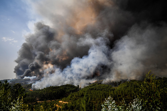 "Giặc lửa" thiêu trụi hàng nghìn hécta rừng tại Algeria ảnh 1