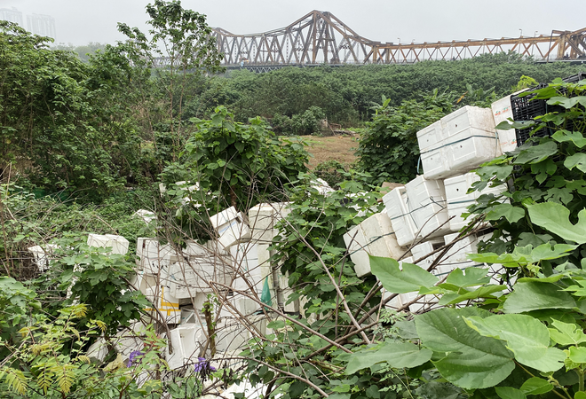Tâm tư người dân Thủ đô trước đồ án quy hoạch đô thị xanh sông Hồng ảnh 2