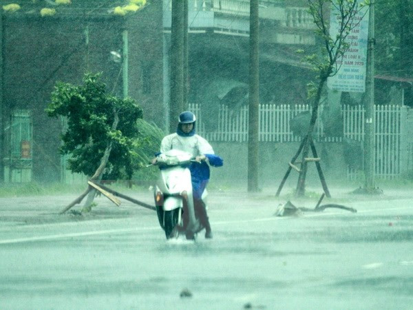 Bắc, Trung Bộ đón mưa dông diện rộng dịp cuối tuần và Quốc khánh ảnh 1