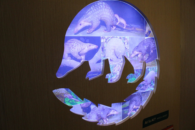 Ra mắt Trung tâm giáo dục và bảo tồn tê tê đầu tiên tại Việt Nam ảnh 4