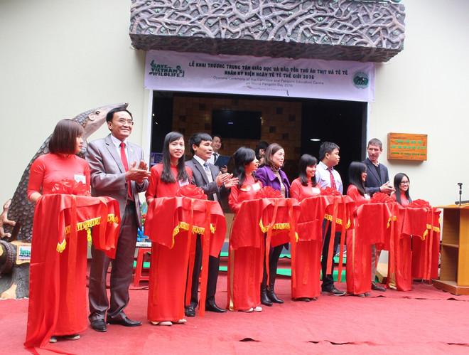 Ra mắt Trung tâm giáo dục và bảo tồn tê tê đầu tiên tại Việt Nam ảnh 1