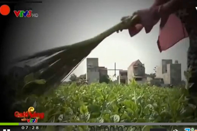 VTV bị phạt nặng, buộc phải cải chính, xin lỗi vụ “cây chổi quét rau” ảnh 1