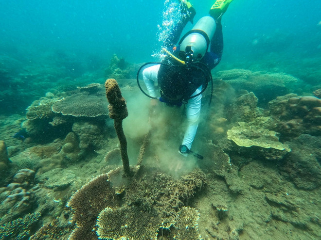 ttxvn_rac thai nhua dai duong.jpg