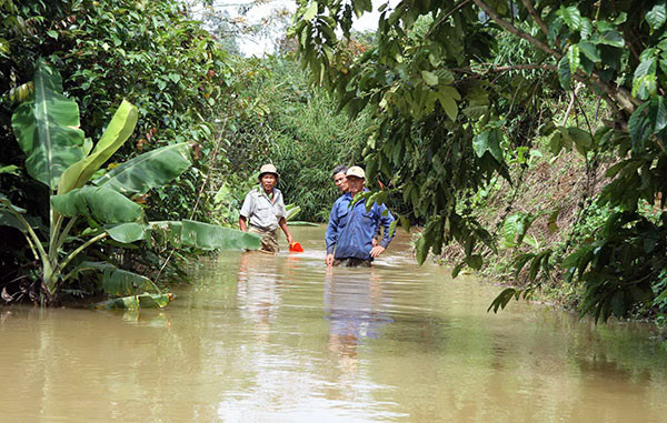 Lâm Đồng đình chỉ thi công công trình thủy điện Đại Bình ảnh 1
