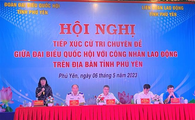 Phú Yên: Người lao động mong có thêm việc làm để tăng thu nhập ảnh 1