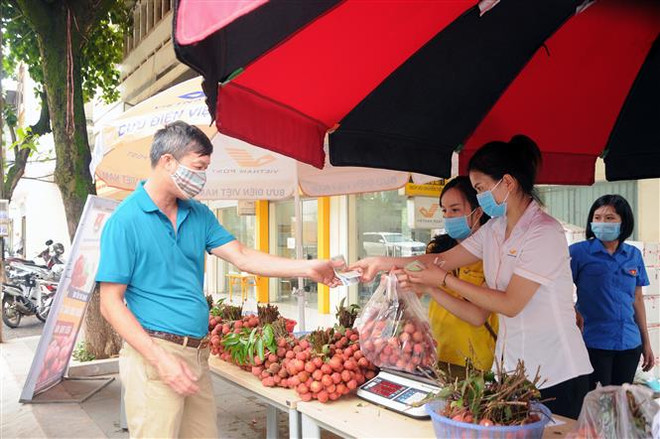 Tuổi trẻ Sơn La chung tay góp sức tiêu thụ vải thiều Bắc Giang ảnh 1