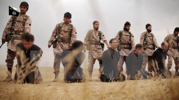 SOHR: Các thành viên IS hành quyết 19 dân thường ở Syria ảnh 1