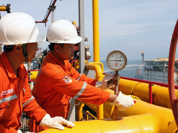 Đảm bảo dự án khí Lô B-Ô Môn triển khai đúng tiến độ ảnh 1