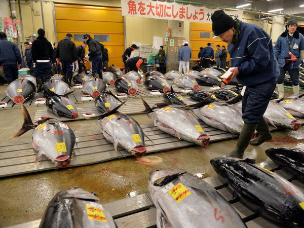 Thực tập sinh Việt Nam - nguồn nhân lực mới ở Nhật Bản ảnh 1