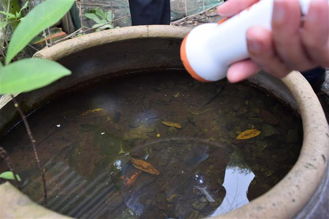 Kiểm tra và diệt lăng quăng. (Ảnh: Chương Đài/TTXVN) Quảng Trị ghi nhận ca tử vong đầu tiên nghi do sốt xuất huyết ảnh 1