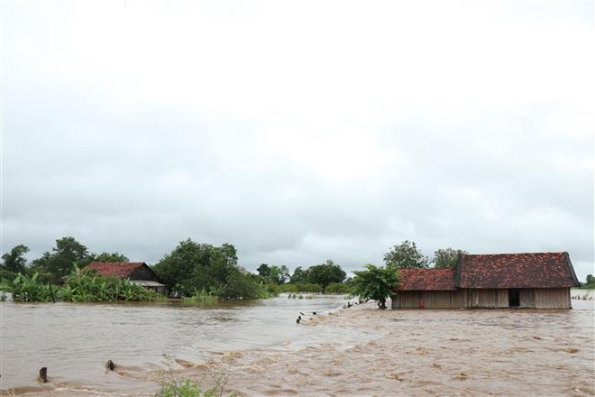 Khởi động chuỗi tham vấn quốc gia tại Việt Nam hướng tới Stockholm+50 ảnh 2