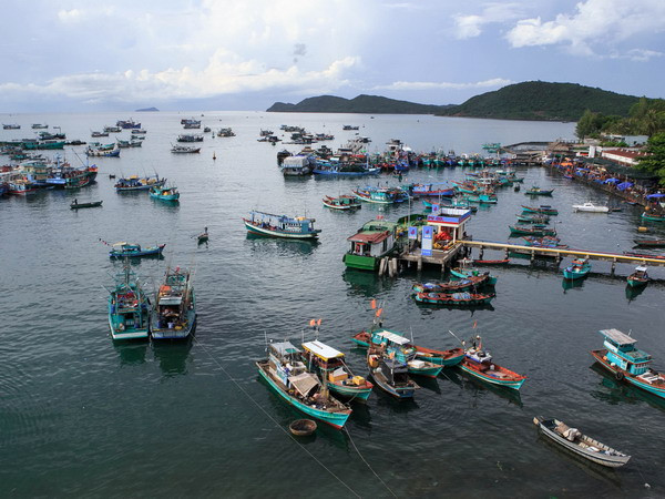 Nghiên cứu khoa học về biển - Tình yêu và trách nhiệm ảnh 1