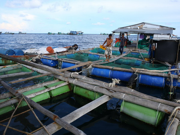 [Photo] Kiên Giang phát triển kinh tế biển hiệu quả, bền vững ảnh 2