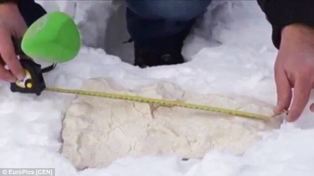 Các nhà khoa học bất ngờ bắt gặp "người tuyết Yeti" tại Nga ảnh 4