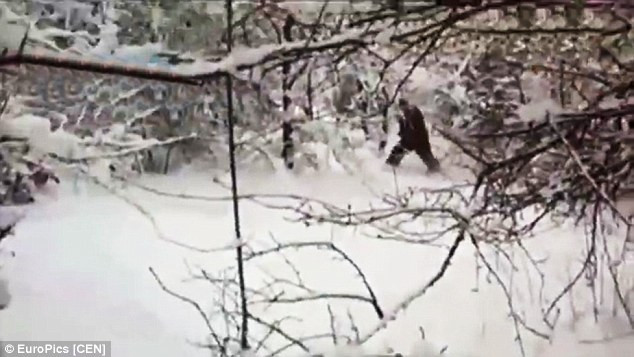 Các nhà khoa học bất ngờ bắt gặp "người tuyết Yeti" tại Nga ảnh 3