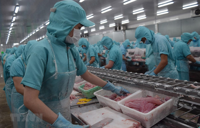 Dự báo lợi nhuận doanh nghiệp thủy sản giảm trong năm 2023 ảnh 1