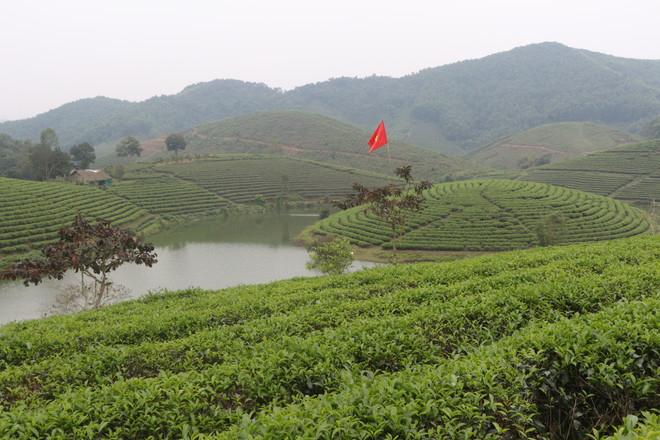 Đảo Chè, một điểm du lịch hấp dẫn tại huyện Thanh Chương, Nghệ An. (Ảnh: Bích Huệ/TTXVN) dao-che-1027.jpg