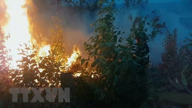 Liên tiếp xảy ra nhiều vụ cháy rừng tại tỉnh Quảng Ngãi ảnh 1