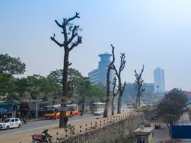 Những sự kiện trong nước nổi bật trong tuần từ ngày 16-22/3 ảnh 8