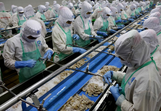 EU rút thẻ vàng đối với hoạt động khai thác thủy sản của Việt Nam ảnh 1