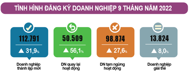 Kinh tế phục hồi, hơn 600 doanh nghiệp gia nhập thị trường mỗi ngày ảnh 1