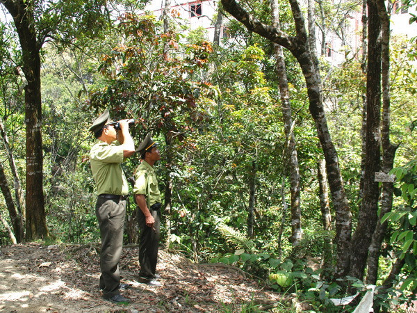 Bảo tồn đa dạng sinh học Khu Bảo tồn thiên nhiên Sông Thanh ảnh 1