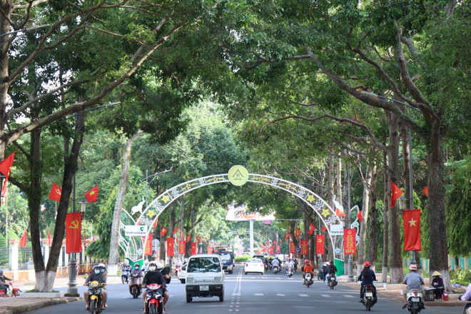 Các tuyến đường trung tâm thành phố Buôn Ma Thuột rực rỡ cờ hoa chào mừng ngày hội non sông. (Ảnh: Tuấn Anh/TTXVN) Lá phiếu gửi gắm niềm tin và trách nhiệm của cử tri Đắk Lắk ảnh 2