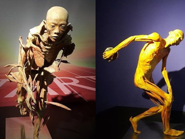 Sự kiện trong nước 2-8/7: Facebook và sự cố về "Hoàng Sa" ảnh 9