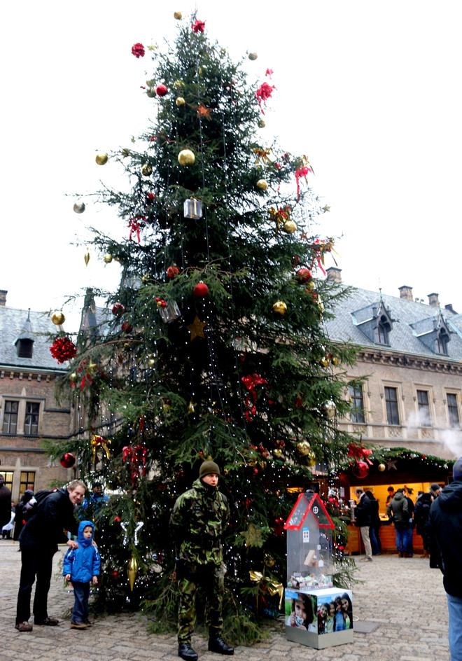 Người Việt ở Séc đón Năm mới: Đặt vấn đề an ninh lên hàng đầu ảnh 2