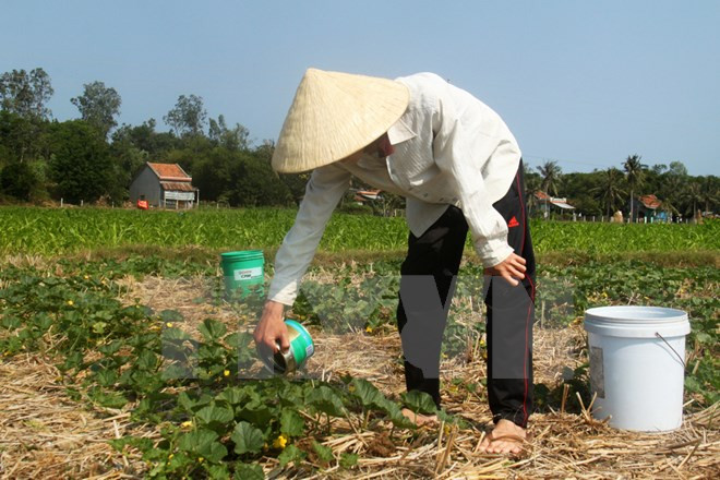 Nắng nóng trên 37 độ C ở vùng núi Tây Bắc Bộ, Bắc Trung Bộ ảnh 1