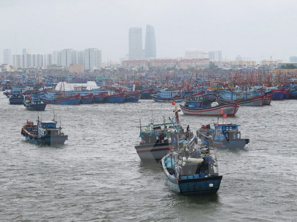 Doanh nghiệp và người dân được hưởng lợi từ việc xăng dầu giảm ảnh 1