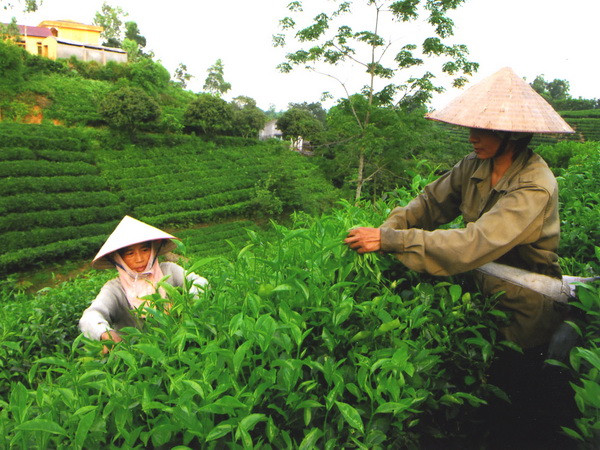 Tỉnh Thái Nguyên chủ động xúc tiến thu hút đầu tư tại New York ảnh 1