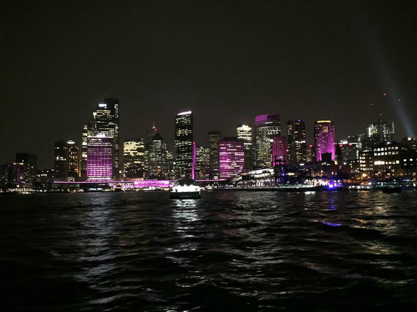 Lung linh, rực rỡ lễ hội ánh sáng thường niên tại Australia ảnh 2