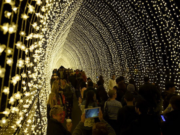 Lung linh, rực rỡ lễ hội ánh sáng thường niên tại Australia ảnh 1