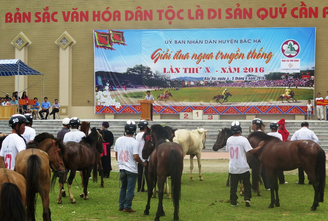 Độc đáo hội đua ngựa Bắc Hà vào mùa mận Tam Hoa chín rộ ảnh 5