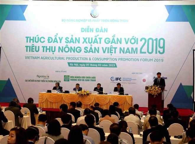 Nông sản Việt cần tìm lợi thế ở từng sản phẩm để phát triển thị trường ảnh 2