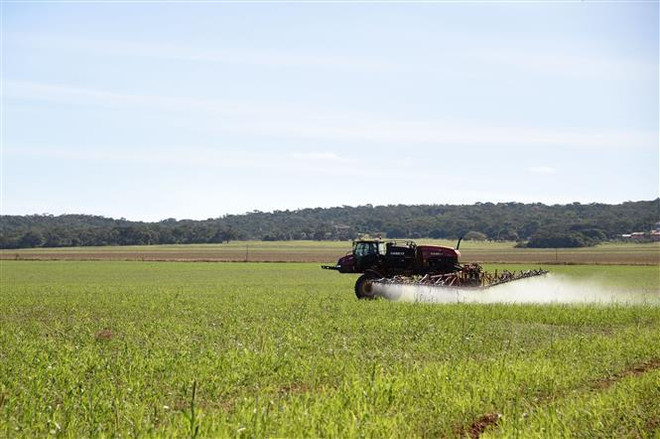 Máy kéo phun phân bón trên cánh đồng ở bang Goias, Brazil, ngày 19/5. (Ảnh: AFP/TTXVN) Các bộ trưởng tài chính G20 đạt đồng thuận về an ninh lương thực ảnh 1