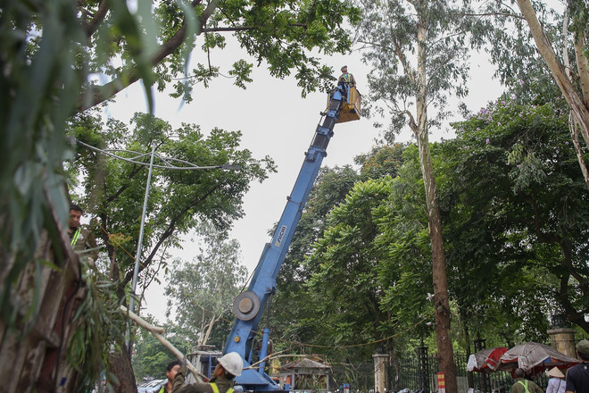 Hiểm họa đổ cây trong trường học: Đừng để ‘mất bò mới lo làm chuồng' ảnh 3
