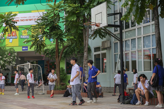 Hiểm họa đổ cây trong trường học: Đừng để ‘mất bò mới lo làm chuồng' ảnh 2