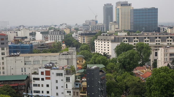 Hiểm họa đổ cây trong trường học: Đừng để ‘mất bò mới lo làm chuồng' ảnh 7
