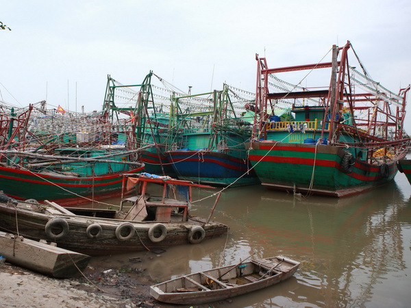 Gió tiếp tục mạnh lên, bão còn cách Hải Phòng-Quảng Ninh 330km ảnh 1