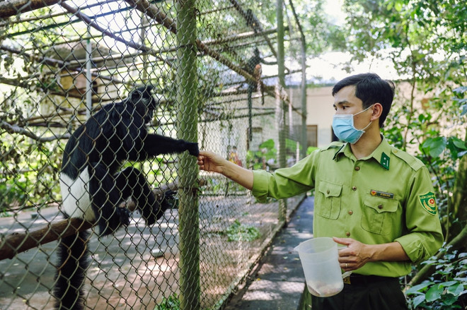 Sáng kiến đặc biệt đưa thú ‘về nhà’ ở Vườn quốc gia đầu tiên Việt Nam ảnh 1