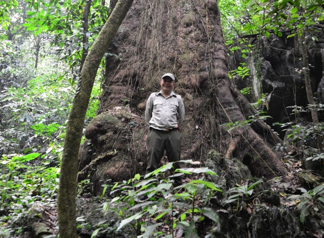 Sáng kiến đặc biệt đưa thú ‘về nhà’ ở Vườn quốc gia đầu tiên Việt Nam ảnh 2