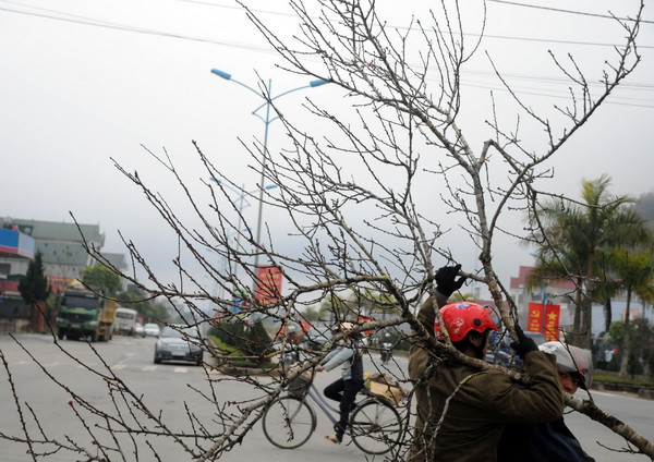 Rét đậm, rét hại xuất hiện ở vùng núi, có băng giá ở đèo Pha Đin ảnh 1
