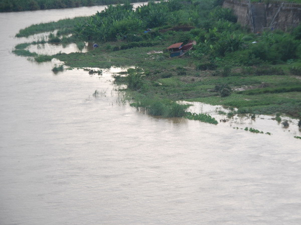 Trú mưa dưới gốc cây to, 3 em nhỏ thiệt mạng do sét đánh ảnh 1