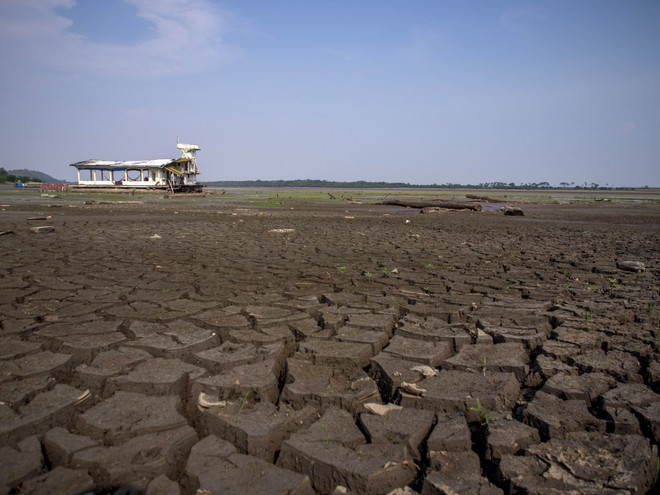 33% diện tích đất trên toàn cầu bị xuống cấp trầm trọng ảnh 1
