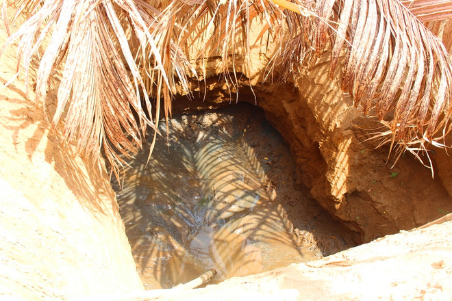 Bài 2: Khát bên “biển nước," người dân đào giếng vét nước ngầm ảnh 3